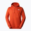 Felpa da trekking da uomo The North Face Outdoor Graphic Hoodie Bronzo chiaro arrugginito