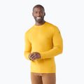 Smartwool Merino 250 Baselayer Crew Uomo in scatola honey gold thermal longsleeve