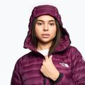 Piumino da donna The North Face Summit Breithorn Hoodie boysenberry 3