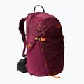 Zaino da escursionismo da donna The North Face Movmynt 26 l boysenberry/mandarino 6