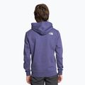 Felpa con cappuccio The North Face Standard Uomo blu grotta 2