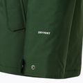 Giacca invernale uomo The North Face Zaneck pine needle 9