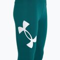 Leggings Under Armour Campus hydro verde acqua/bianco per donna 7