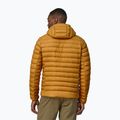 Giacca da uomo Patagonia Down Sweater Hoody con cappuccio in oro pesce palla 2