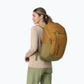 Patagonia Black Hole Pack 32 l zaino da trekking pesce palla oro 2