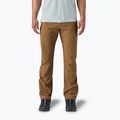 Pantaloni da trekking Patagonia Terravia Trail Regular marrone coriandolo da uomo