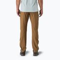 Pantaloni da trekking Patagonia Terravia Trail Regular marrone coriandolo da uomo 2