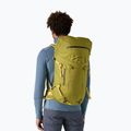 Zaino da trekking Patagonia Ascensionist 55 l graze green 4
