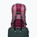Zaino urbano Cotopaxi Allpa Daypack 26 l fig 6
