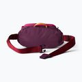 Marsupio cintura Cotopaxi Empcable Sling 3 l acai 3