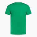 Maglietta da tennis da uomo Nike Court Dri-Fit Heritage verde stadio 2