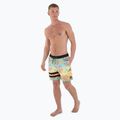 Pantaloncini da bagno Hurley Phantom Eco Block Party Volley 17" da uomo con ananas 2