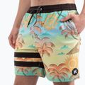 Pantaloncini da bagno Hurley Phantom Eco Block Party Volley 17" da uomo con ananas 4