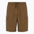 Pantaloncini larghi Vans Range Cargo da uomo