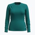 Maglia termica da donna Smartwool Merino 250 Baselayer Crew Boxed emerald green 3