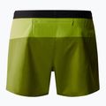 Pantaloncini da corsa da uomo The North Face Breeze 5" verde prato/verde quercia 5