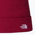 Cappello da trekking da uomo The North Face Norm Beanie beetroot 2