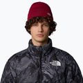 Cappello da trekking da uomo The North Face Norm Beanie beetroot 3