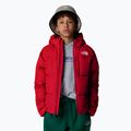 Piumino da bambino The North Face North Down Hooded rosso 4