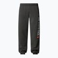 Pantaloni da uomo The North Face Varsity Graphic grigio erica medio