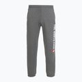 Pantaloni da uomo The North Face Varsity Graphic grigio erica medio