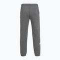 Pantaloni da uomo The North Face Varsity Graphic grigio erica medio 2