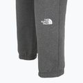 Pantaloni da uomo The North Face Varsity Graphic grigio erica medio 4