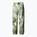 Pantaloni da sci da uomo The North Face Build Up stampa ortica dell'impianto di risalita 4