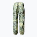 Pantaloni da sci da uomo The North Face Build Up stampa ortica dell'impianto di risalita 5