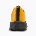 Scarpe da corsa da uomo The North Face Offtrail Trail Run Gore-Tex summit gold / tng black 6