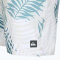 Pantaloncini da bagno Quiksilver Wild Fern Volley 17" Uomo 3