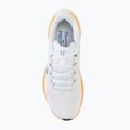 Uomo Nike Pegasus 41 Blueprint Air Zoom scarpe da corsa multicolore 5