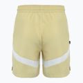 Pantaloncini da basket da uomo Nike Icon Dri-Fit 6" squadra oro/team oro/bianco/nero 2