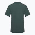 Maglietta da uomo Nike Dri-Fit UV Hyverse verde vintage/nero 2