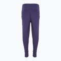 Pantaloni da bambino Nike Sportswear Club Fleece uvetta scuro / uvetta scuro / bianco 2