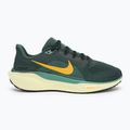 Scarpe da corsa uomo Nike Pegasus 41 verde vintage / bicoastal / nero / oro infinito 2