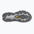 Scarpe da corsa da uomo Hoka Speedgoat 6 GTX stardust/outter orbit 11