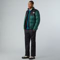 Pantaloni da uomo The North Face Antora Rain neri 2