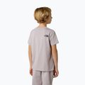 Maglietta da bambino The North Face Teen Simple Dome Tee grigio pietra di luna 3