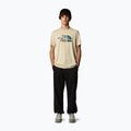 Maglietta The North Face Mountain Line Tee ghiacciata da uomo 2