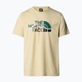 Maglietta The North Face Mountain Line Tee ghiacciata da uomo 4