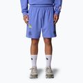 The North Face Mountain Cleanup Pantaloncini blu virtuali rilassati