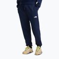 Pantaloni da trekking da uomo The North Face Simple Dome Light Regular Tapered Jogger summit navy