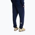 Pantaloni da trekking da uomo The North Face Simple Dome Light Regular Tapered Jogger summit navy 3