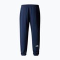 Pantaloni da trekking da uomo The North Face Simple Dome Light Regular Tapered Jogger summit navy 5
