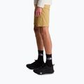 Pantaloncini da trekking da uomo The North Face Lightning SHT khaki stone/npf 4