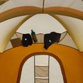 Tenda da campeggio per 4 persone The North Face Wawona 4P light exuberance orange/ timber tan/ new taupe green 12