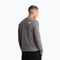 Felpa da uomo The North Face Kecha Crew smoked pearl/asphalt grey 3