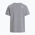 T-shirt da uomo The North Face Evolution Half Dome tnf pale grey heather 5