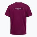 Maglia training da uomo Under Armour Project Rock Terry Q3 purple 2